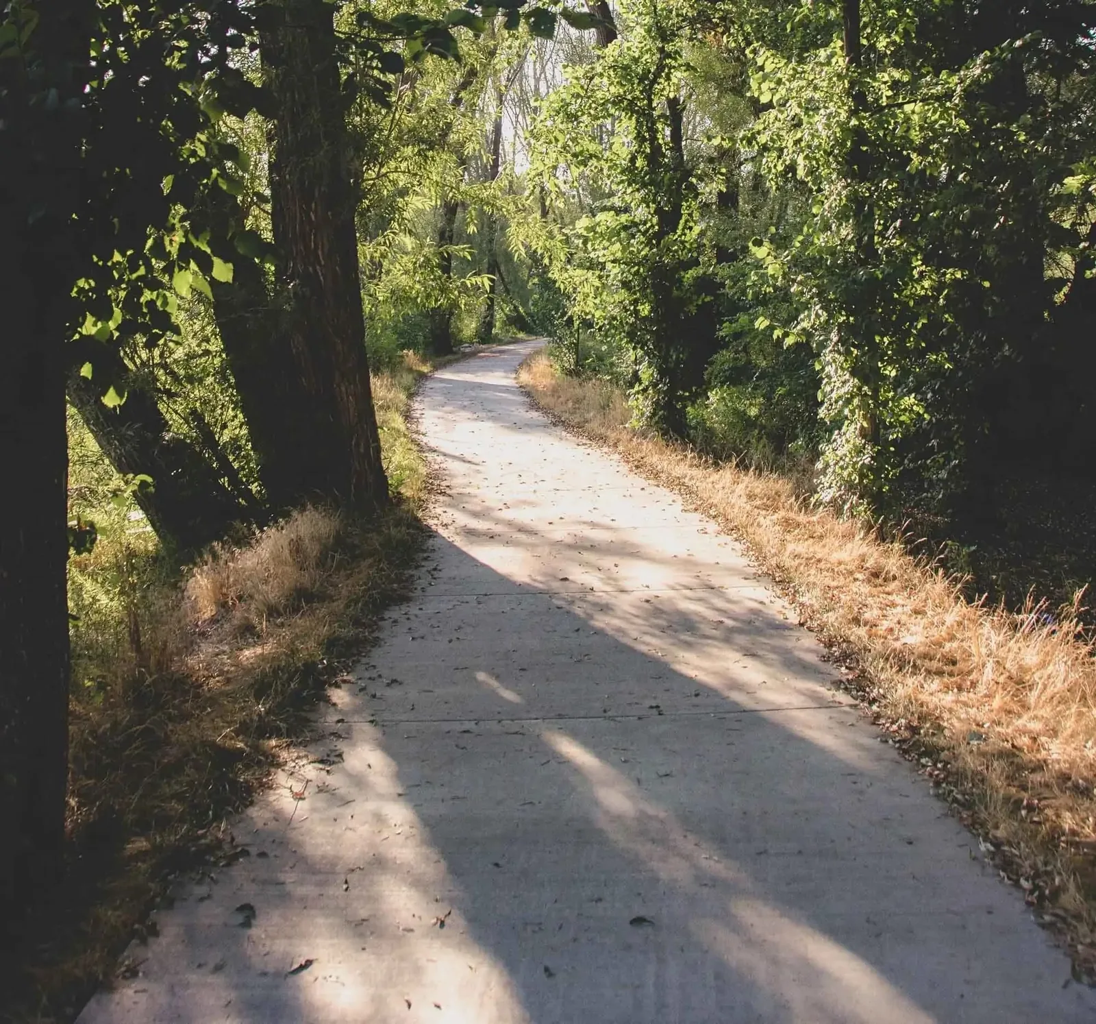 Paved pathway — Photo by Courtney Smith on Unsplash