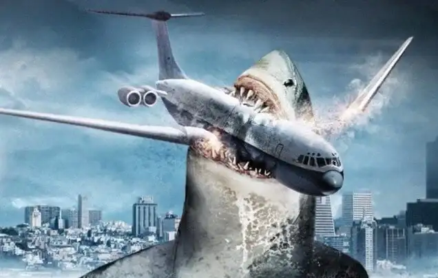 Shark plane